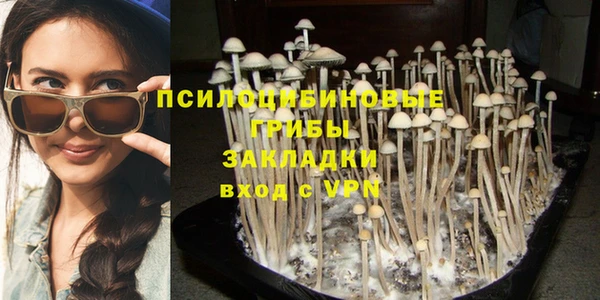 мяу мяу мука Белокуриха