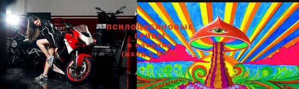 мяу мяу мука Белокуриха