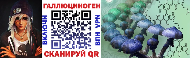 Псилоцибиновые грибы прущие грибы  гидра tor  Дальнегорск  магазин  наркотиков 