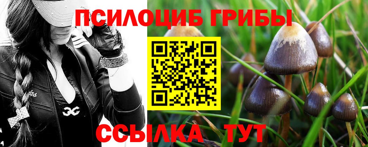 Кокаин  НБОМе  МЕТАДОН  Дальнегорск  Меф кристаллы  Вход с VPN  ГАШ  А ПВП СОЛЬ  