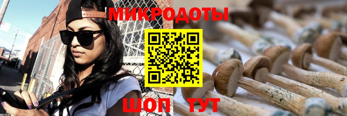 Псилоцибиновые грибы Cubensis  Галлюциногенные грибы мухоморы  Дальнегорск  Вход с VPN 